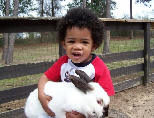 Boy with Rabbit